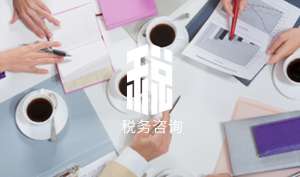 稅務咨詢提供的四種信息